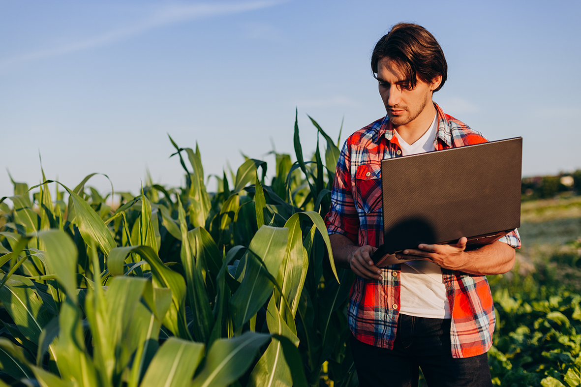 Perito de seguros agrarios, comprobando los daños ocasionados.